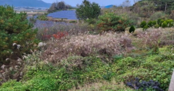 전라북도 부안군 줄포면 줄포리 OOOOO 전 경매 물건 이미지