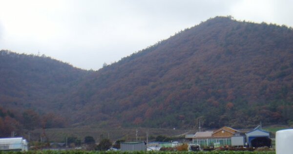 전라남도 해남군 화원면 영호리 OOOO O OOO 임야 경매 물건 이미지