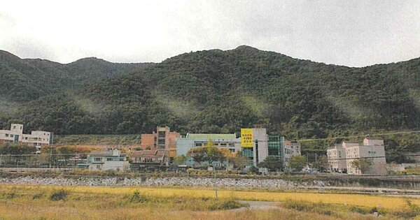 경상남도 창원시 마산회원구 내서읍 신감리 OOOO 임야 경매 물건 이미지