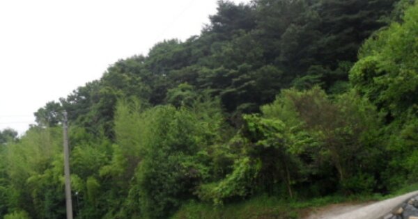 경상남도 남해군 서면 중현리 OOO 임야 경매 물건 이미지