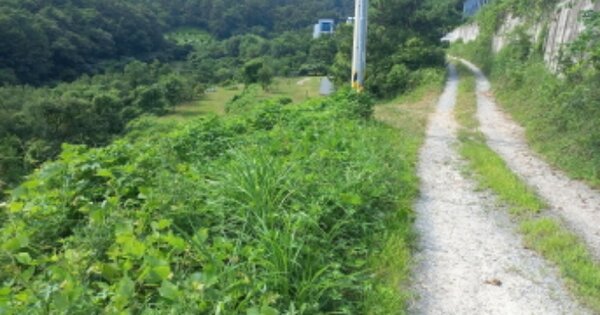 경상남도 거제시 아주동 OOOOOOO 대지 경매 물건 이미지
