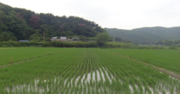 경상남도 하동군 금성면 갈사리 OOOOOO 답 경매 물건 이미지