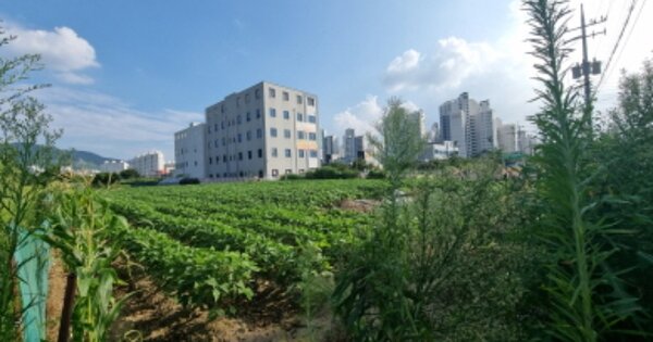 경기도 남양주시 오남읍 양지리 OOOOO 답 경매 물건 이미지