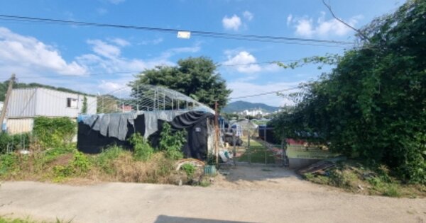 경기도 남양주시 오남읍 양지리 OOO 답 경매 물건 이미지