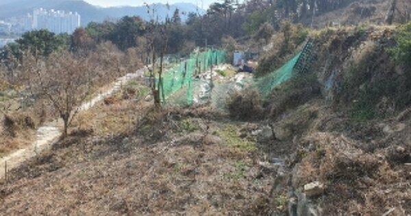 경상남도 창원시 마산회원구 구암동 OOO 답 경매 물건 이미지