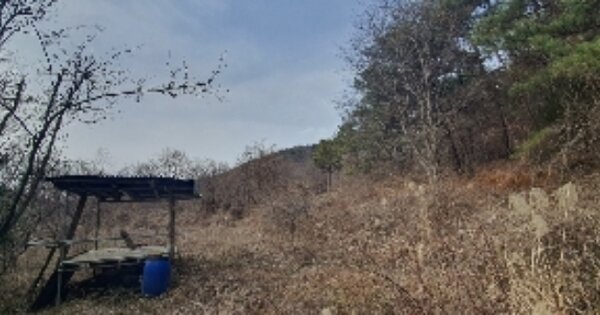경상남도 의령군 칠곡면 산북리 OOOOO 답 경매 물건 이미지