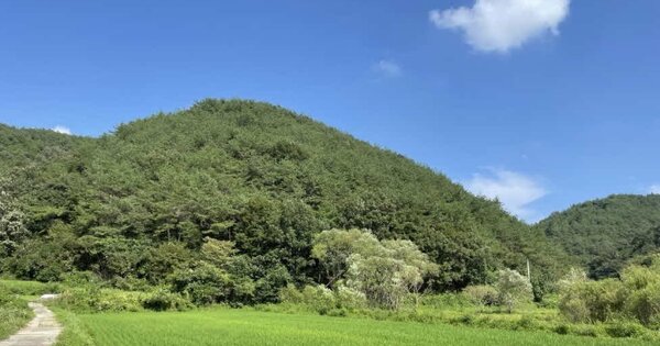 경상남도 사천시 곤명면 성방리 OOOOO 임야 경매 물건 이미지