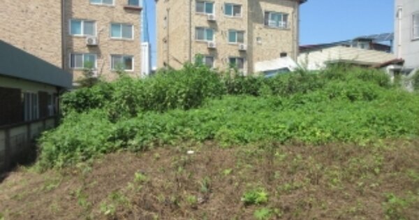 충청북도 증평군 증평읍 신동리 OOO O OOO 전 경매 물건 이미지