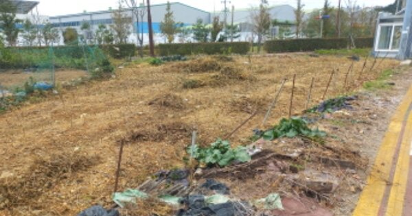 경상남도 거제시 연초면 오비리 OOOOO O OOO 답 경매 물건 이미지