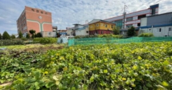 경상남도 사천시 서포면 구평리 OOOOO O OOO 대지 경매 물건 이미지