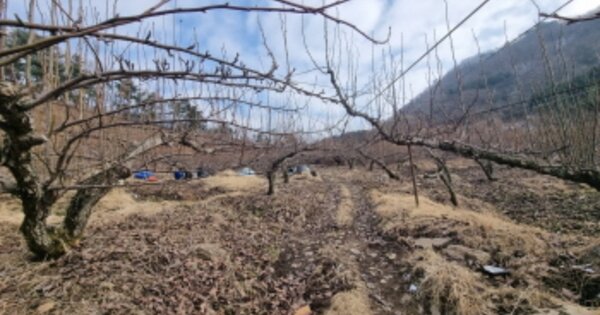 경기도 남양주시 오남읍 팔현리 OOO O OOO 답 경매 물건 이미지