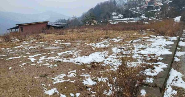 경기도 양평군 지평면 옥현리 OOOOOOO O OOO 임야 경매 물건 이미지