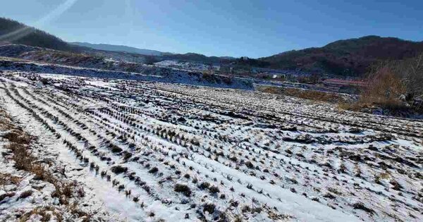 경기도 양평군 강상면 병산리 OOOOO O OOO 답 경매 물건 이미지