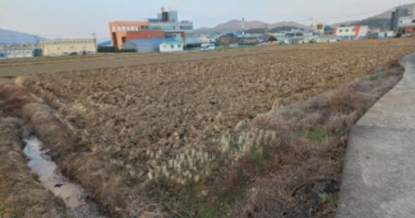 경상남도 남해군 창선면 수산리 OOOOO 답 경매 물건 이미지