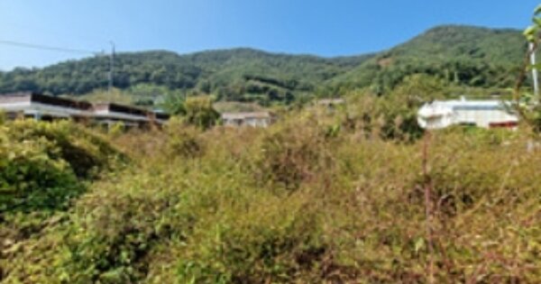 경상남도 창원시 의창구 북면 신촌리 OOOOO O OOO 답 경매 물건 이미지