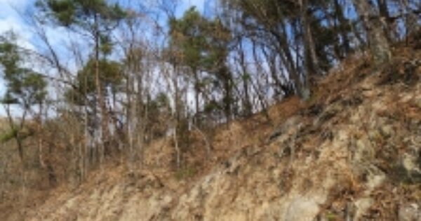 충청남도 금산군 제원면 동곡리 OOO 임야 경매 물건 이미지