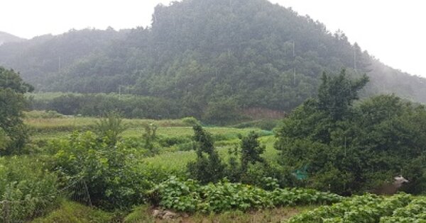 경상북도 의성군 사곡면 화전리 OOO 답 경매 물건 이미지