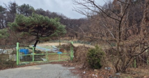 대전광역시 유성구 탑립동 OOO 과수원 경매 물건 이미지
