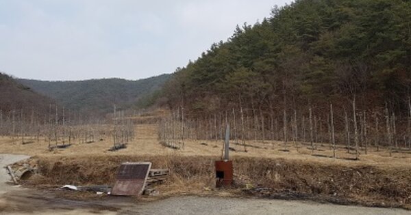경상북도 의성군 의성읍 중리리 233 전 경매 물건 이미지
