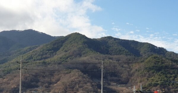 경상남도 거창군 마리면 월계리 OOOOO 임야 경매 물건 이미지