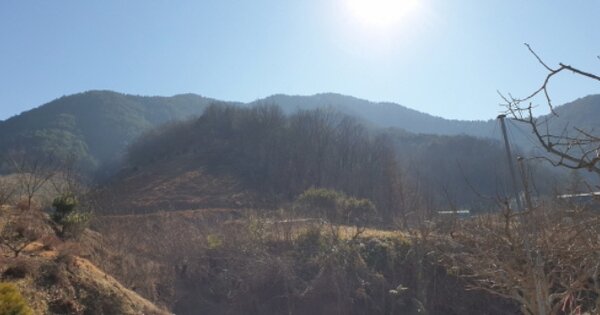 경상남도 합천군 적중면 황정리 OOO 임야 경매 물건 이미지