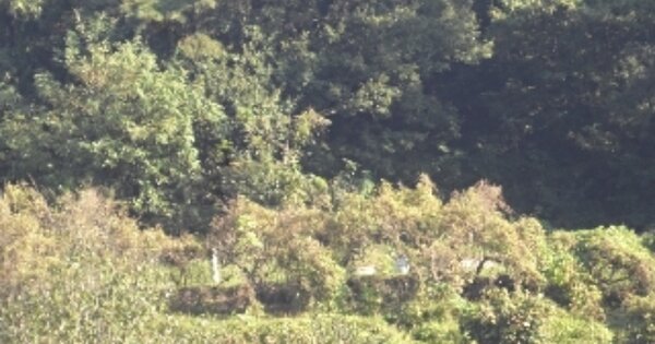 경상남도 밀양시 초동면 검암리 OOOOO 대지 경매 물건 이미지