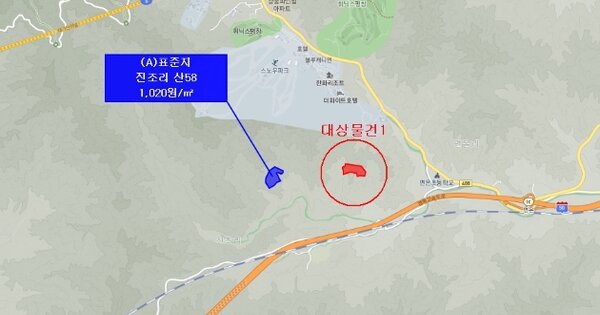 강원특별자치도 평창군 봉평면 진조리 OOO 임야 경매 물건 이미지