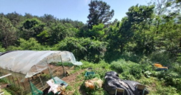 경상남도 고성군 거류면 송산리 OOO 전 경매 물건 이미지