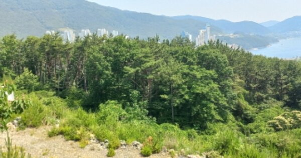 경상남도 거제시 일운면 소동리 OOOOOO 임야 경매 물건 이미지