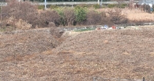 경상남도 통영시 용남면 동달리 OOO 답 경매 물건 이미지