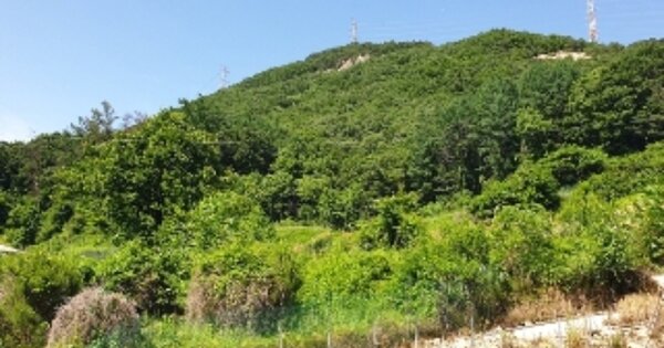 충청북도 충주시 노은면 연하리 OOOOO 전 경매 물건 이미지
