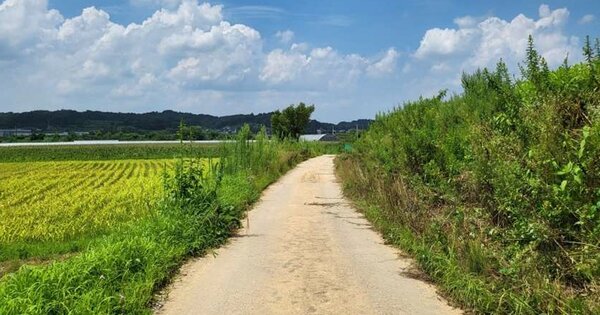 충청북도 음성군 맹동면 용촌리 OOOOO 전 경매 물건 이미지