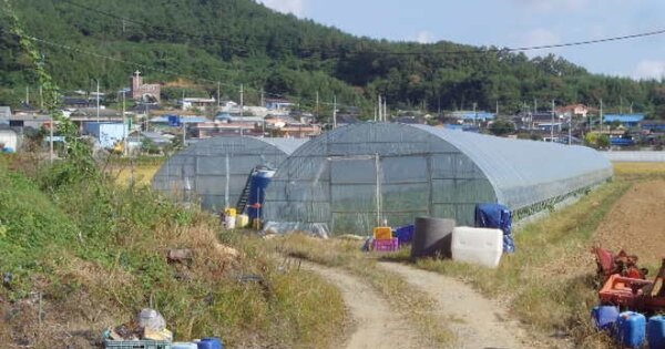 전라남도 해남군 화산면 관동리 OOOOOO 답 경매 물건 이미지
