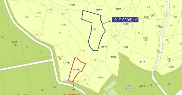 전라남도 영암군 시종면 봉소리 OOOO 단독주택 경매 물건 이미지