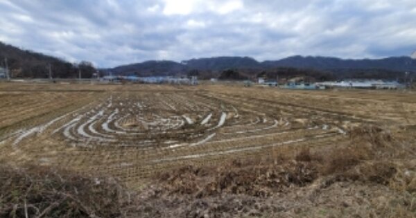 충청북도 보은군 보은읍 용암리 OOOO O OOO 답 경매 물건 이미지