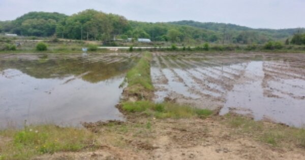 경기도 파주시 진동면 동파리 OOOO 전 경매 물건 이미지