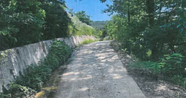 경상북도 예천군 지보면 어신리 OOOOO O OOO 임야 경매 물건 이미지