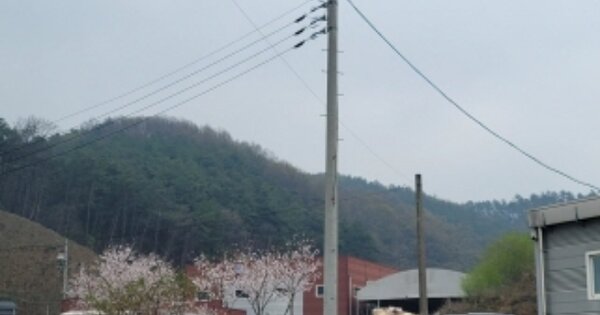 충청남도 천안시 동남구 수신면 발산리 OOOOO 임야 경매 물건 이미지