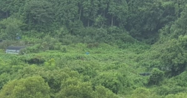 경상남도 창원시 마산합포구 현동 OO 답 경매 물건 이미지