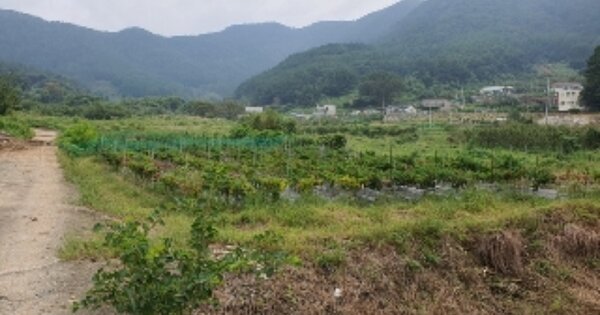 경상남도 창원시 마산합포구 진전면 이명리 OOO O OOO 답 경매 물건 이미지