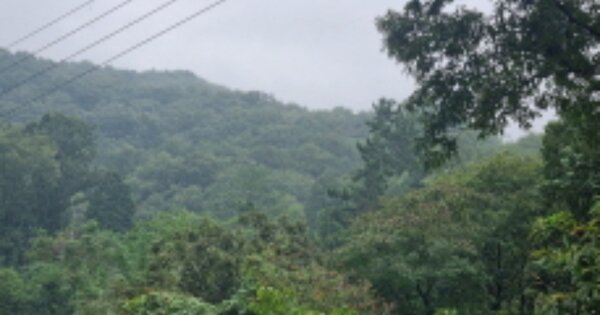 경상남도 양산시 동면 금산리 OO 전 경매 물건 이미지