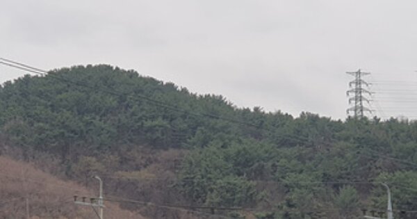 경상남도 김해시 주촌면 천곡리 OOOOOO O OOO 임야 경매 물건 이미지