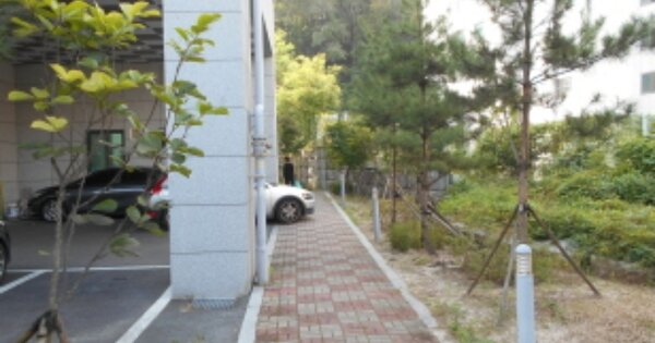 대전 서구 월평동 OOOOO OO OOOO OOOOO OOOOO 도시형생활주택 경매 물건 이미지