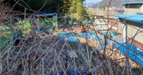 경상남도 창원시 의창구 동읍 단계리 OOOOO 전 경매 물건 이미지