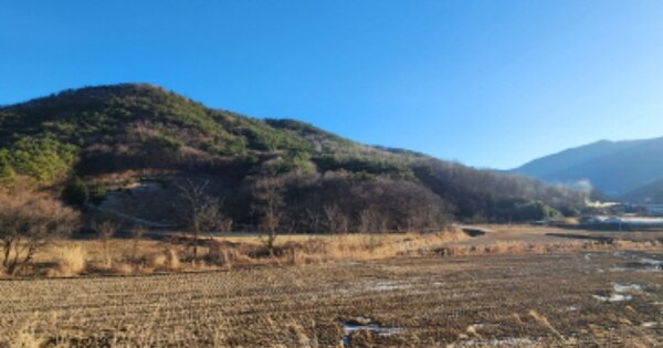 울산광역시 울주군 상북면 명촌리 OOOO 답 경매 물건 이미지