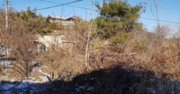 세종특별자치시 금남면 도암리 OOOOO 임야 경매 물건 이미지