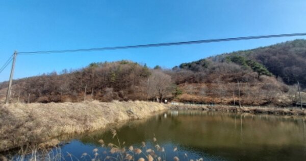 충청남도 금산군 진산면 부암리 OOO 임야 경매 물건 이미지