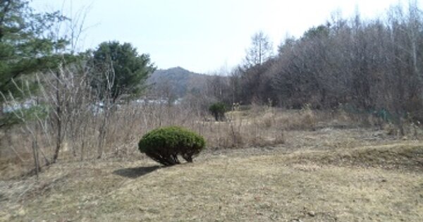 강원도 횡성군 둔내면 마암리 OO 전 경매 물건 이미지