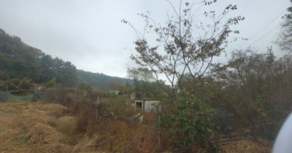 인천광역시 중구 덕교동 OO 전 경매 물건 이미지