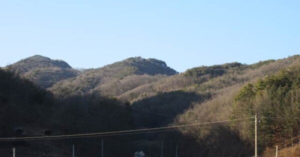 경상북도 상주시 모서면 정산리 OOOOO O OOO 답 경매 물건 이미지